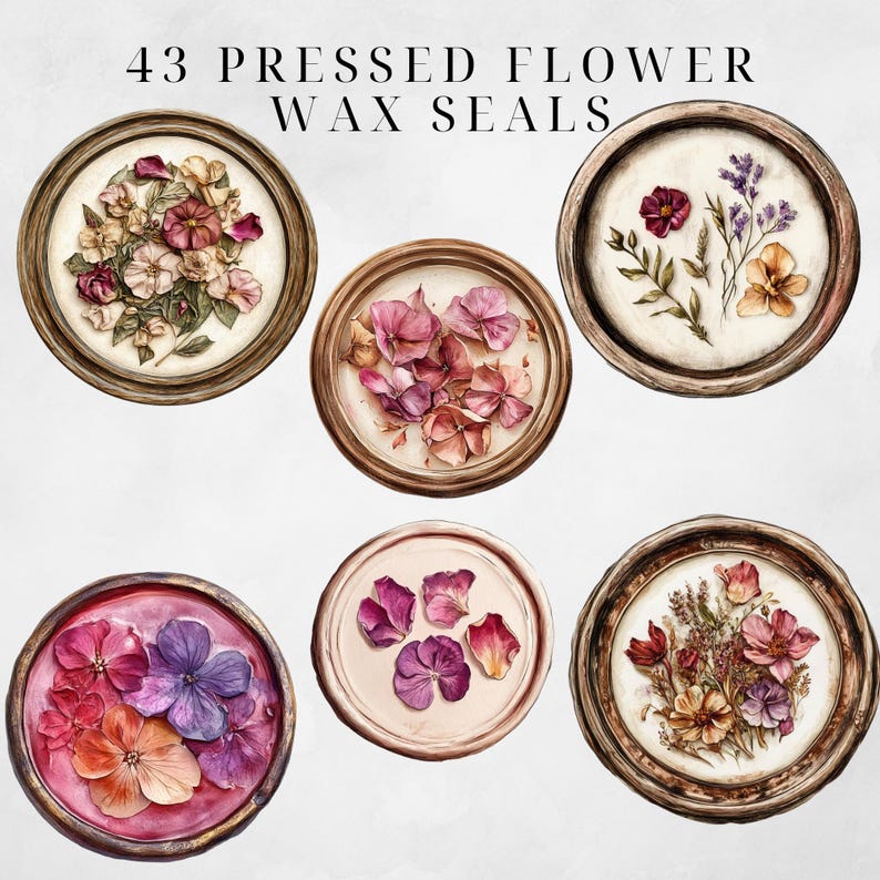 Wax Seal Clipart Pressed Flowers Clipart Wax Seal Png Wax Seal Stamp Wax Seal Clip Envelope Seal Wax Seal Digital Regency Victorian Ephemera image 7