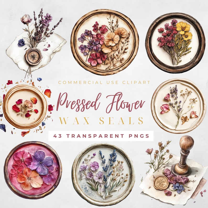 Wax Seal Clipart Pressed Flowers Clipart Wax Seal Png Wax Seal Stamp Wax Seal Clip Envelope Seal Wax Seal Digital Regency Victorian Ephemera image 1
