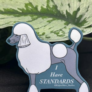 I Have Standards Sticker