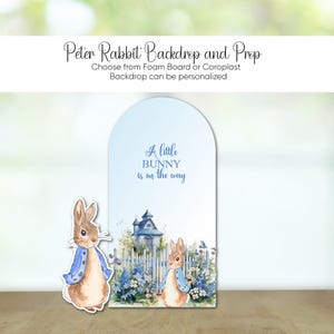 May include: A blue and white Peter Rabbit themed backdrop with a cutout of a bunny in a blue jacket. The backdrop has a white picket fence, a blue house, and flowers. The text "A little bunny is on the way" is printed on the backdrop.