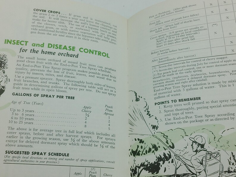 May include: Open book page with text about insect and disease control for home orchards. Includes a table with spray schedules and a diagram of a person spraying trees. The text is in black and green.