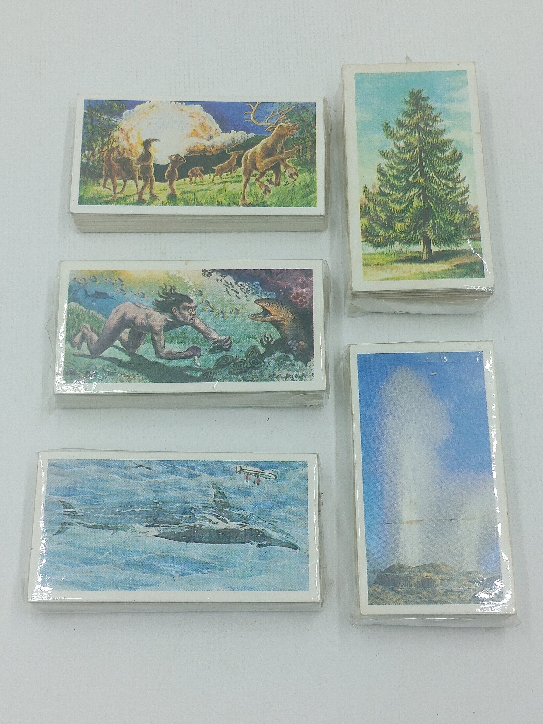 Vintage Sealed Brooke Bond Tea Cards Complete Set - Etsy
