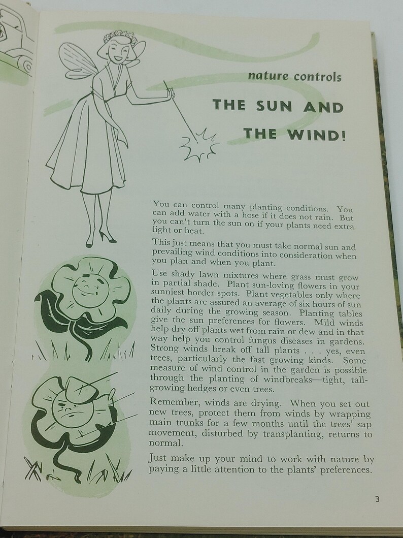 May include: An open book page with illustrations and text. The title "THE SUN AND THE WIND!" is displayed above a drawing of a fairy. Below are drawings of smiling flowers and text about gardening.