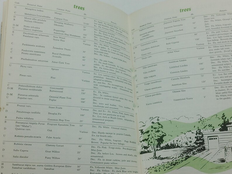 May include: Open book pages with a botanical illustration of trees. The left page lists tree names and details, while the right page features a green illustration of a house and trees. The word "trees" is at the top.