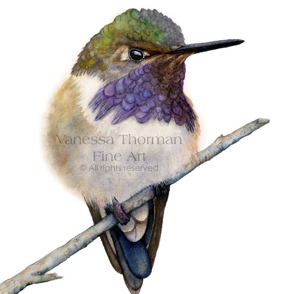 Hummingbird Art Print | For Bird Nerds | Hummingbird Art | Nature Art | Hummingbirds Gift | Bird Art | Bird Lover Gift | Birdwatcher Gift