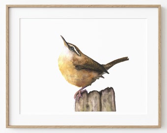 Carolina Wren Art Print | For Bird Nerds | Wren Art | Watercolor Bird | Carolina Wren Painting | Wren Print | Carolina Wren | Bird Lover