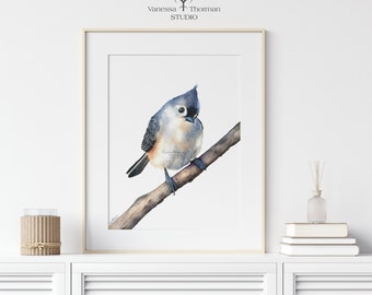 Tufted Titmouse Art Print | For Bird Nerds | Titmouse Art | Nature Art | Bird Art | Birdwatcher Gift | Bird Art Print | Bird Lover Gift
