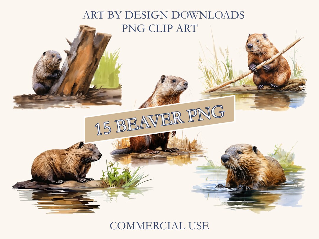 15 Beaver PNG clip art clipart images for crafts memory - Etsy.de