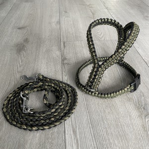 Paracord dog harness & dog leash