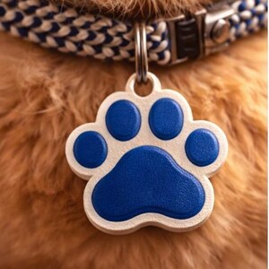 Könnte beinhalten: Nahaufnahme eines Haustierhalsbands mit blau-weißem geflochtenem Design. Ein silberner Anhänger in Form eines Pfotenabdrucks hängt am Halsband. Der Pfotenabdruck ist blau mit weißem Rand. Der Hintergrund ist das Fell des Haustiers.