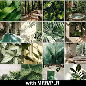 Könnte beinhalten: Eine Collage aus 12 Bildern mit üppigem grünem Laub, tropischen Pflanzen und Innenräumen mit natürlichem Licht. Die Bilder zeigen eine Vielzahl von Texturen und Mustern, darunter Blätter, Holz und Stein.