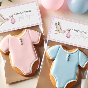 May include: Two baby-themed cookies shaped like onesies, one pink and one blue, with white trim and three white buttons. Each cookie is in a clear bag with a tag that reads "A SPECIAL TREAT just for you" and a stork illustration.
