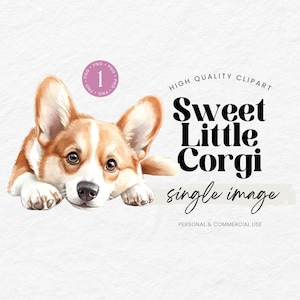May include: Watercolor illustration of a sweet Corgi puppy with brown and white fur, resting its head on its paws. The image includes the text "Sweet Little Corgi" and "single image".