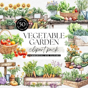 May include: Watercolor illustration of a vegetable garden with various vegetables and flowers. The image includes baskets of tomatoes, corn, and other produce, along with the text "VEGETABLE GARDEN clipart pack".