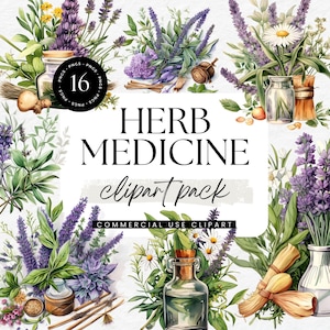 Clipart de medicina de ervas em aquarela, plantas curativas naturais, ervas medicinais, remédios à base de plantas, gráficos de plantas terapêuticas botânicas, imagens png PNGWing