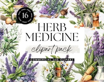 Aquarell Kräuter Medizin Clipart, Naturheilpflanzen, Heilkräuter, pflanzliche Heilmittel, botanische Heilpflanzen Grafiken PNG
