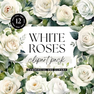Clipart de rosas brancas, pacote de clipart floral em aquarela, PNGs transparentes, uso comercial pessoal, clipart de convite, flores brancas elegantes