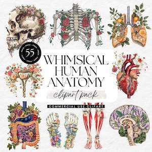 Whimsical Human Anatomy Clipart | 55 PNGs | Floral Skull, Heart, Brain, Skeleton, Medical Art for Journals, Stickers, Invites & Crafts