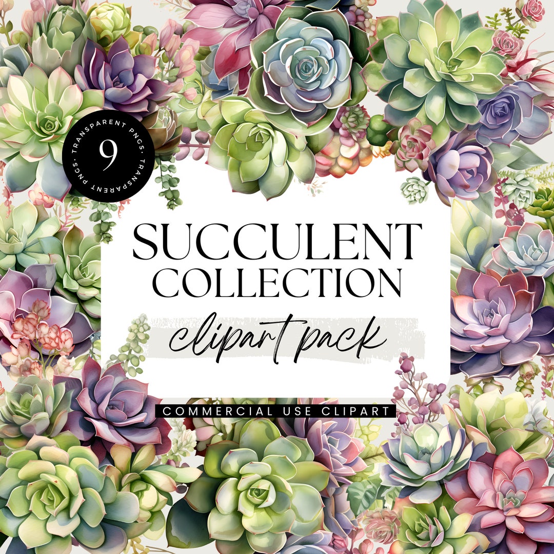 Succulent Clipart Watercolor Clipart Pack Transparent Pngs - Etsy