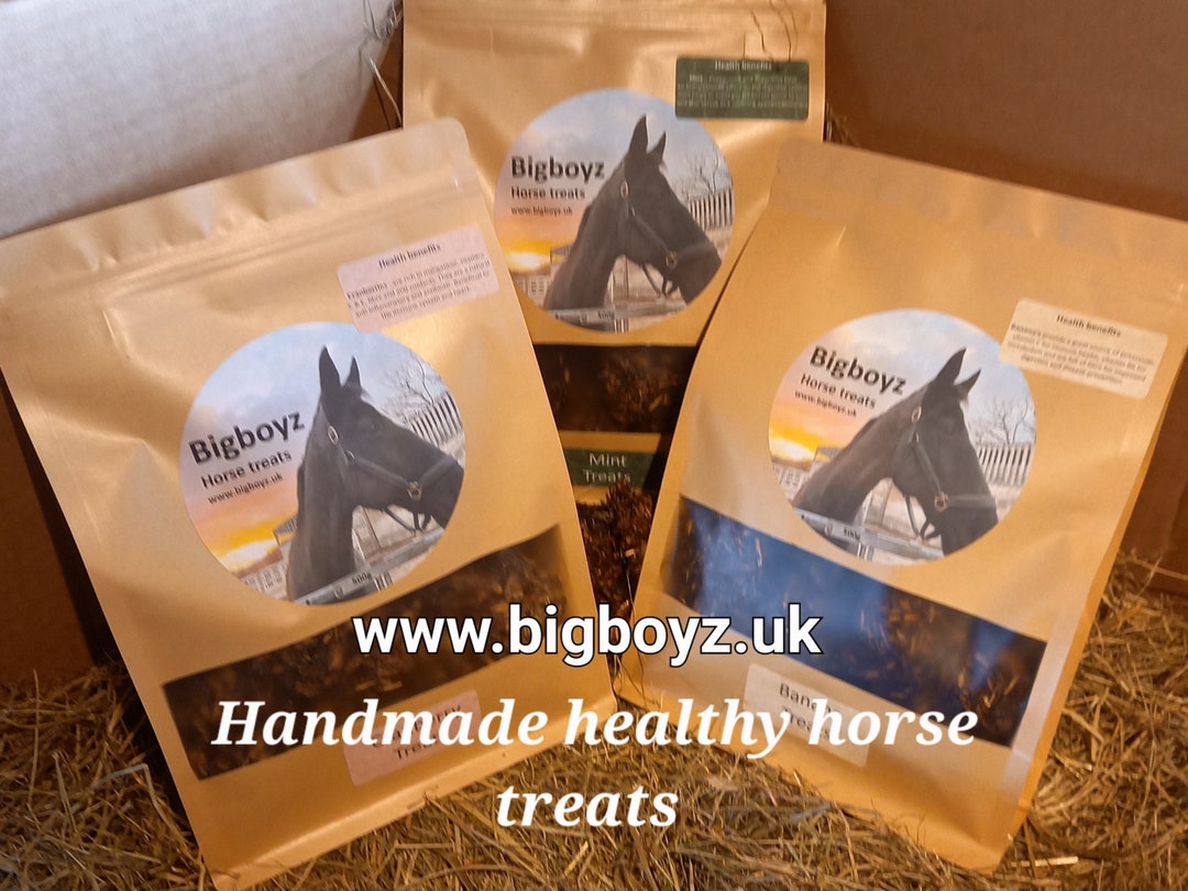 Bigboyz Handmade Horse Treats Etsy