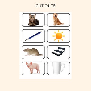 CVC Words Builder, CVC Worksheet, Learn To Read, Spelling & Writing Practice, Preschool, Kindergarten Printable, Phonics Game, Sight Words image 8