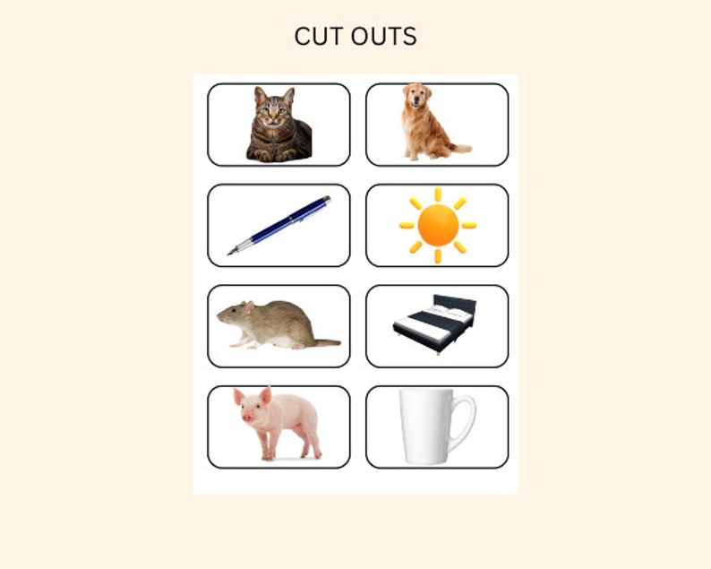 CVC Words Builder, CVC Worksheet, Learn To Read, Spelling & Writing Practice, Preschool, Kindergarten Printable, Phonics Game, Sight Words image 8