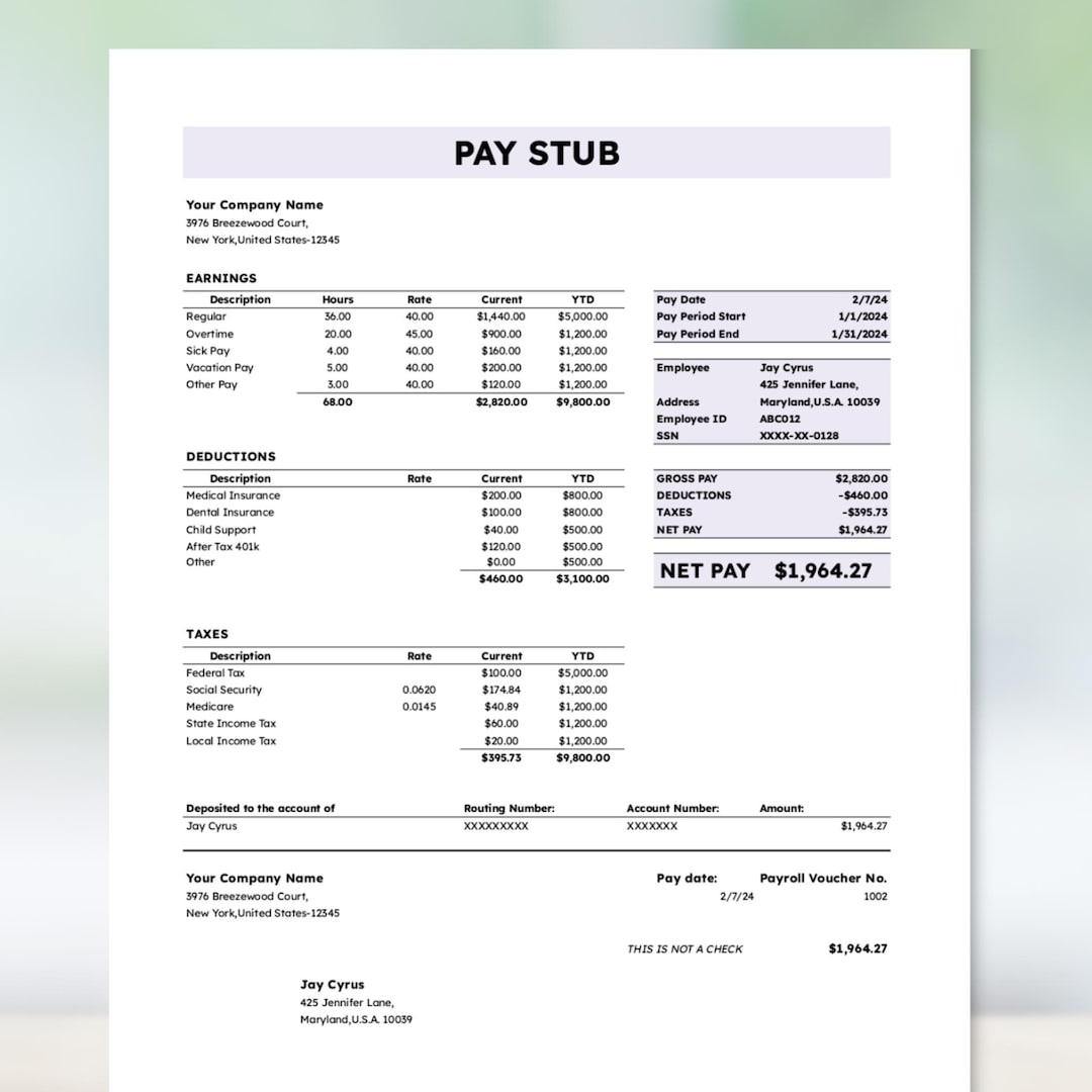 Easy To Use Paystub Template For Small Business Pay Stub After Tax Printable Earning Statement Il K943