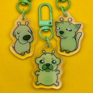 Portachiavi in acrilico Alien Pet / Ciondolo Pibble per cani e gatti