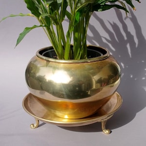 May include: A polished brass planter, gold in colour, with a rounded bowl shape, containing a green plant. The planter sits on a matching saucer with decorative feet. The plant has long, green leaves. Suitable for indoor use.