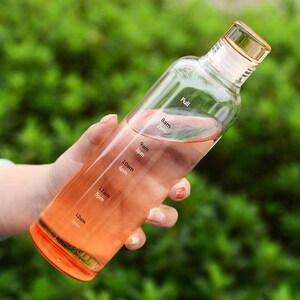 Aesthetic glass simple cute drink ware multi-purpose eco Christmas water bottle popular right now drinking schedule transparent gift Juicy orange
