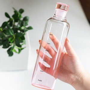 Aesthetic glass simple cute drink ware multi-purpose eco Christmas water bottle popular right now drinking schedule transparent gift Pink
