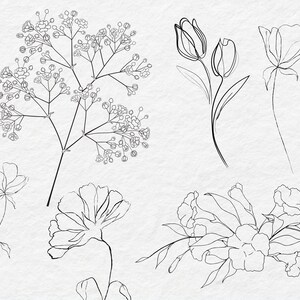 May include: Line art drawings of various flowers, including tulips, carnations, and baby's breath. The drawings are in black ink on a white background.