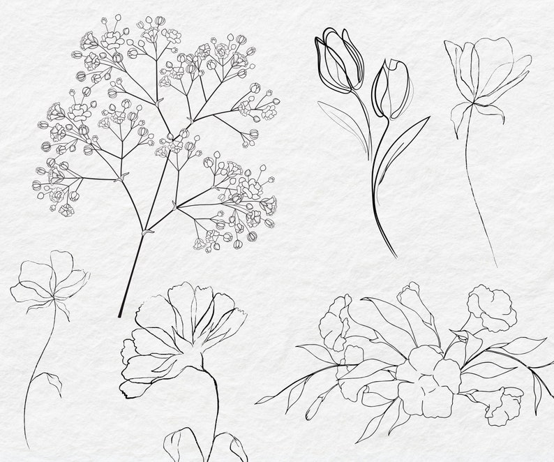 May include: Line art drawings of various flowers, including tulips, carnations, and baby's breath. The drawings are in black ink on a white background.