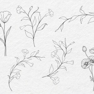 May include: Line art illustrations of various flowers and branches. The flowers include poppies and carnations. The branches are simple and elegant.