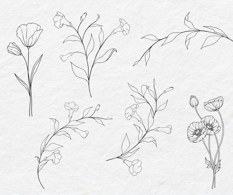 May include: Line art illustrations of various flowers and branches. The flowers include poppies and carnations. The branches are simple and elegant.