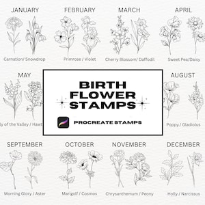 Puede incluir: Ilustraciones en blanco y negro de flores para cada mes del año. El título de la imagen es "Birth Flower Stamps" con el texto "Procreate Stamps" debajo.