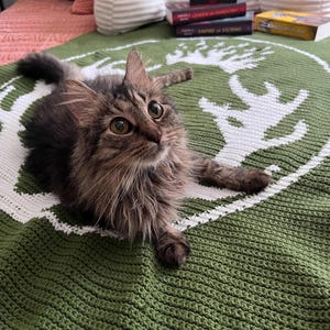 Op de afbeelding: Een bruine tabbykat met groene ogen ligt op een groen-witte gehaakte deken met een wit hert ontwerp. De kat kijkt naar de camera.