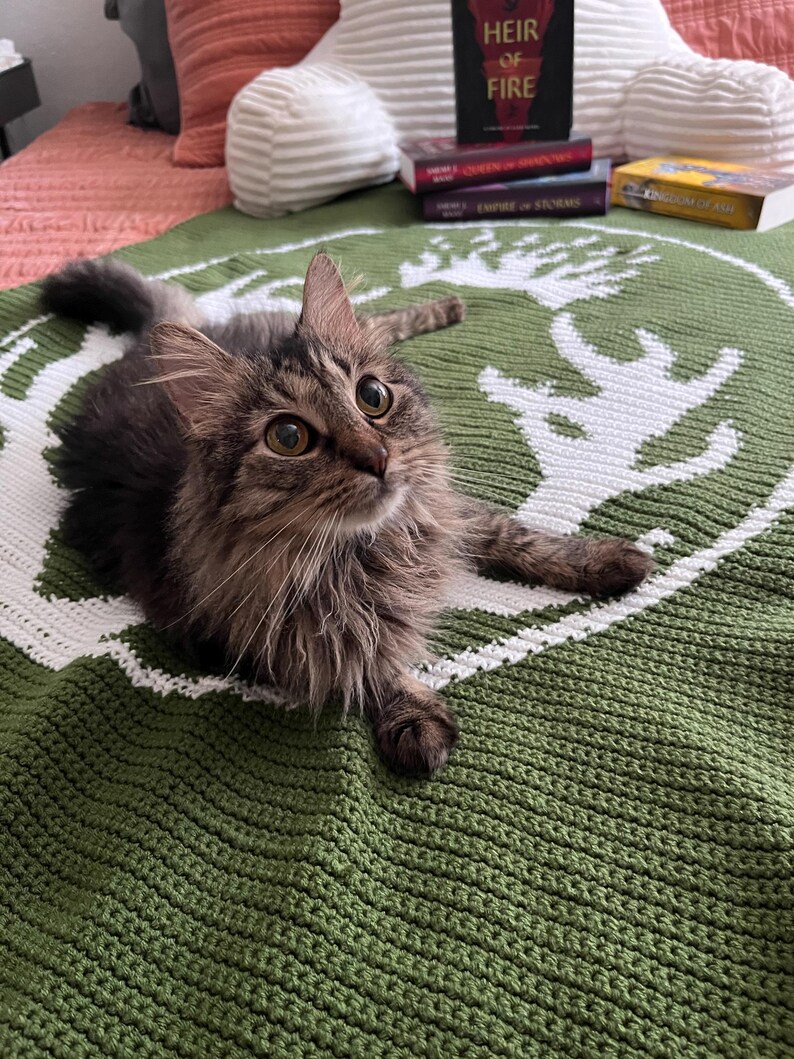 Op de afbeelding: Een bruine tabbykat met groene ogen ligt op een groen-witte gehaakte deken met een wit hert ontwerp. De kat kijkt naar de camera.