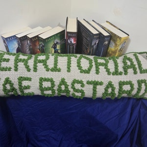 Puede incluir: Una almohada de crochet blanca y verde con el texto "Territorial Face Bastard" en ella. La almohada está sobre una superficie azul con una pila de libros detrás.