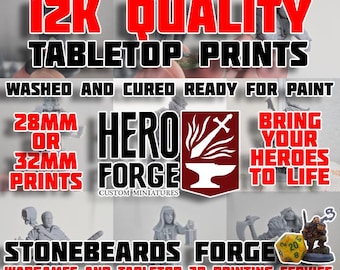 3D Print Service On Demand | 12K HD | Heroforge | Miniature | Wargaming | RPG | TableTop | Dungeons and Dragons | D&D | 28/32mm | STL Resin