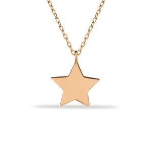 May include: A gold star pendant necklace with a delicate chain.
