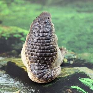 May include: A close-up of a brown and black alligator figurine with a textured, scaly back. The figurine is sitting on a rock with a green and brown background.