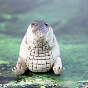 May include: A white ceramic alligator figurine with a textured, scaly body and black eyes. The alligator is sitting upright with its mouth closed and its front legs crossed.