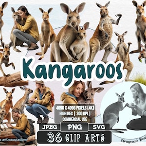 36 Kängurus - Australisches Outback | 5 digitale Dateitypen | Farbe & Graustufen PNG | JPEG | SVG | Ausmalen/Gemälde | Kunsthandwerk | Aufkleber