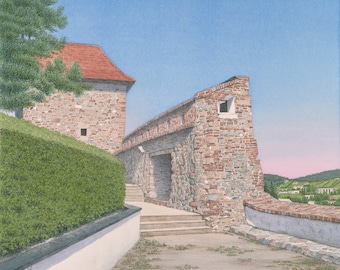 Nitra Castle View