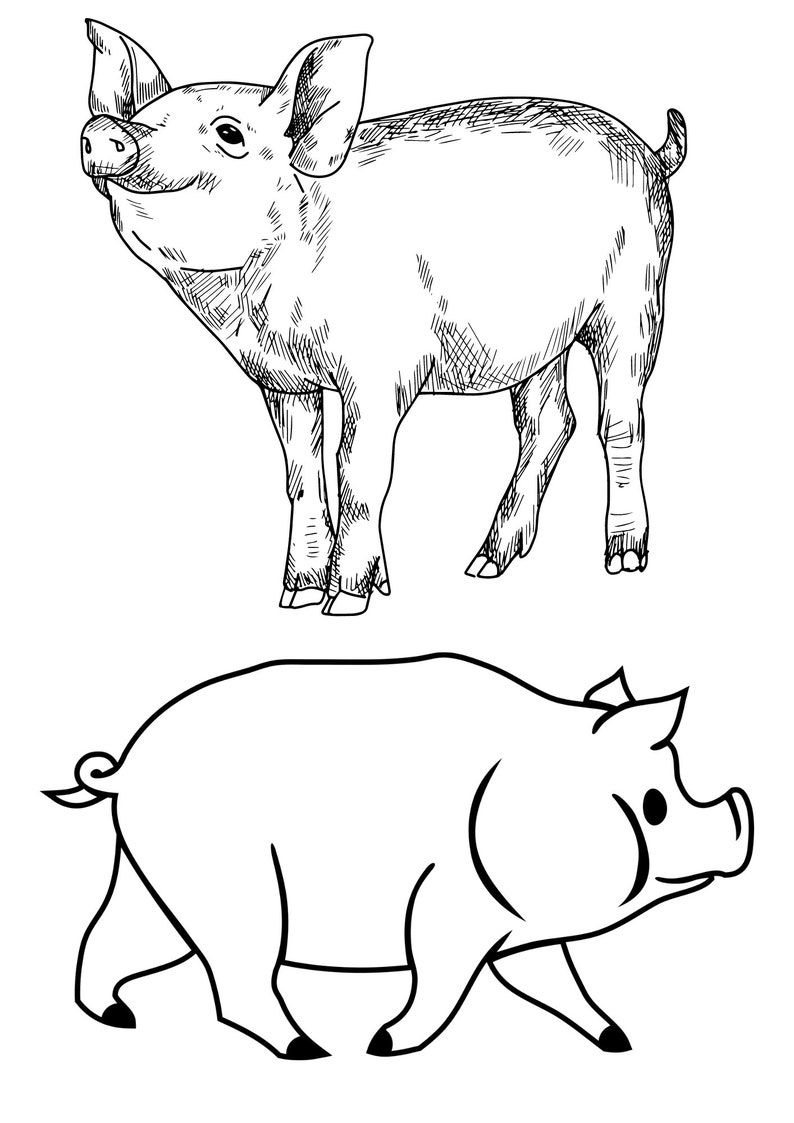 Domestic Animals Printable Coloring Sheet Coloring Pages Kids Coloring