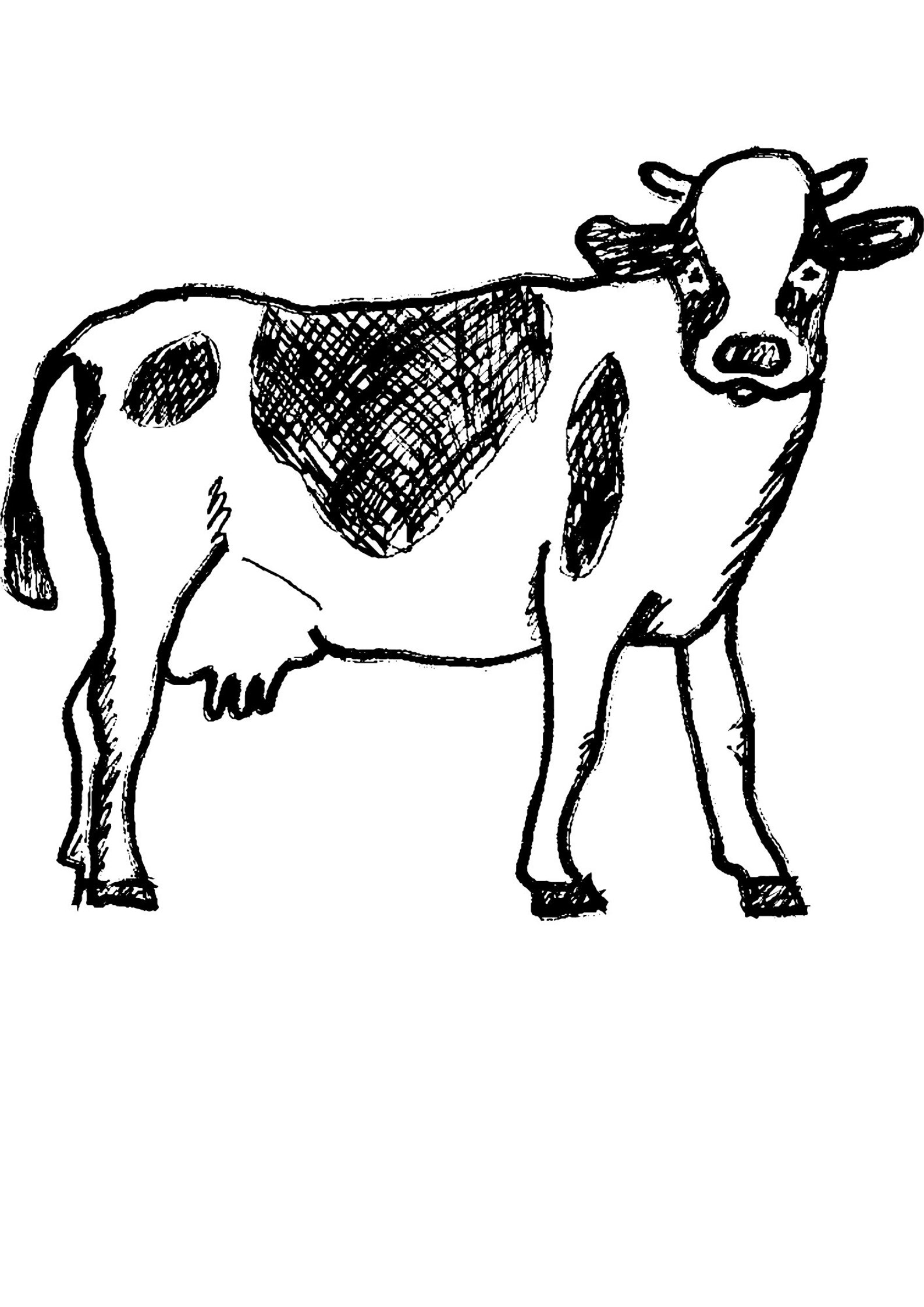 Domestic Animals Printable Coloring Sheet Coloring Pages Kids