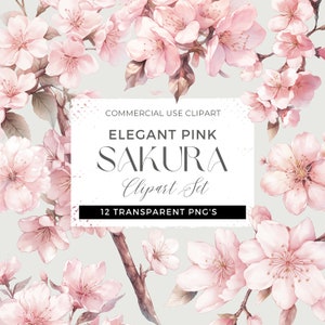 Elegant Pink Sakura Clipart Set, Cherry Blossom Clipart Illustrations, Watercolor Flower Pink Sakura, Sakura Blossom Flower Branches PNG