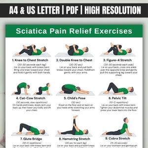 Op de afbeelding: Een poster met negen geïllustreerde oefeningen voor pijnverlichting bij ischias. Elke oefening wordt gedemonstreerd met een persoon in een groen shirt. De oefeningen omvatten rekoefeningen zoals knie naar borst en cobra-houding. De tekst bovenaan luidt "A4 & US LETTER | PDF | HIGH RESOLUTION".