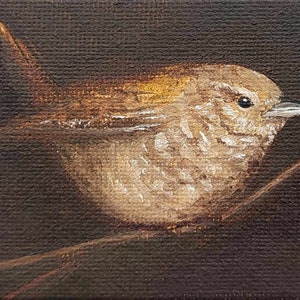 Wren